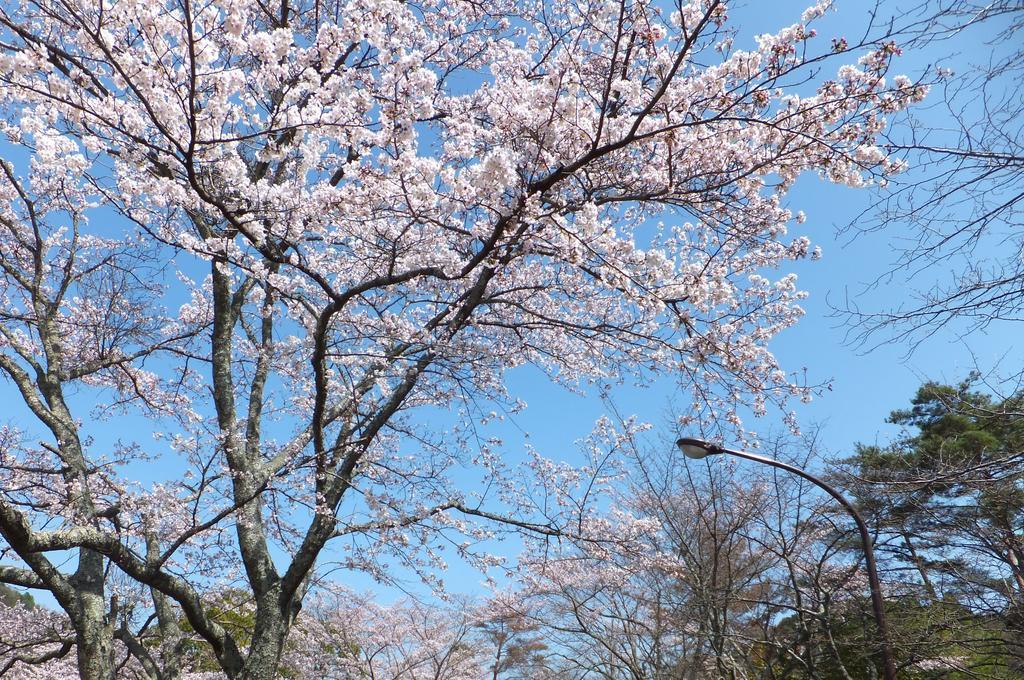 Maple Inagawa Ξενοδοχείο Kawabe  Εξωτερικό φωτογραφία